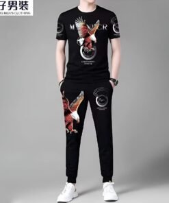 New Mesh Fabrics  Trouser & T-shirt Combo Set